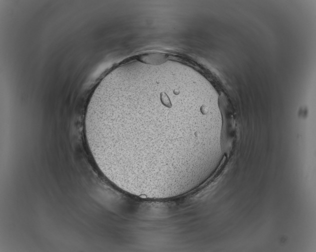 X0000091881355200710031733