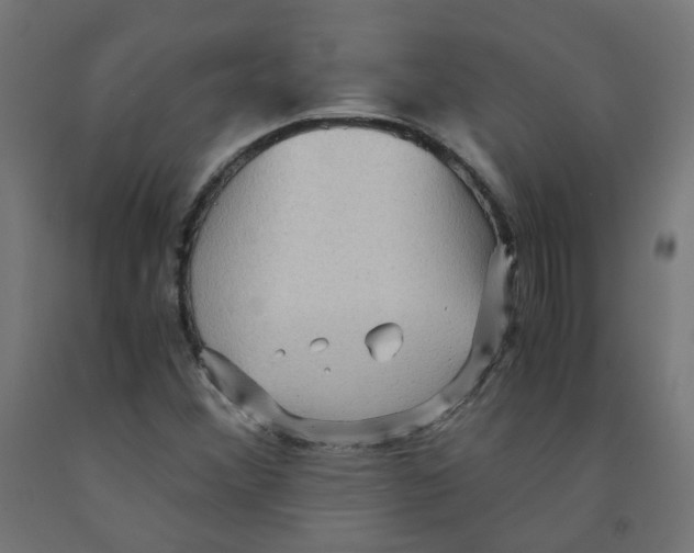 X0000091881356200710031733