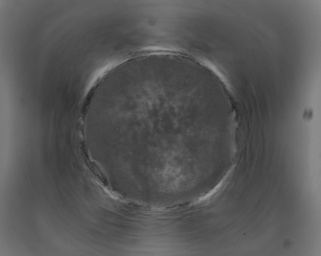 X0000091881357200710031733