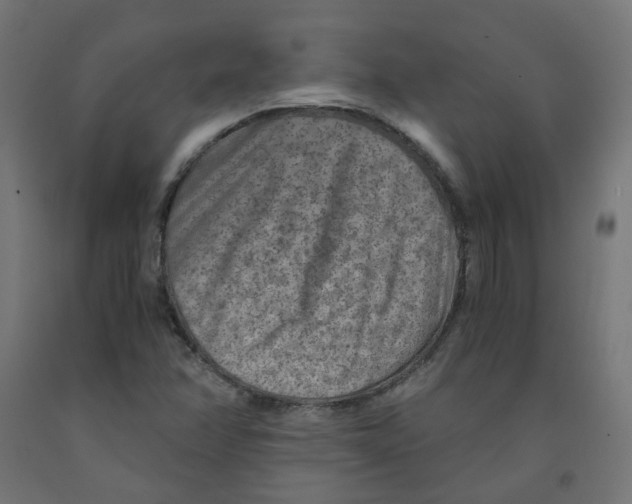 X0000091881358200710031733