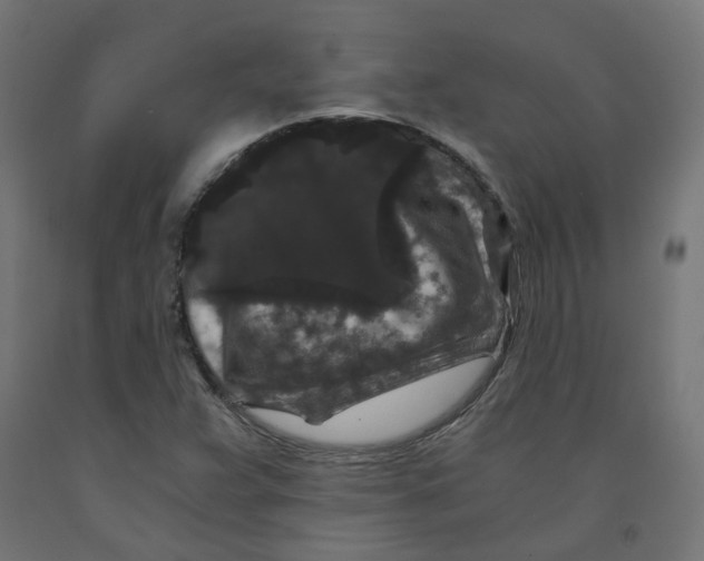 X0000091881359200710031733