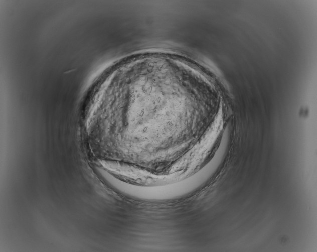X0000091881360200710031733
