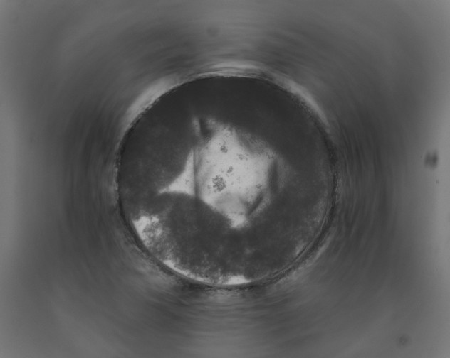 X0000091881362200710031733