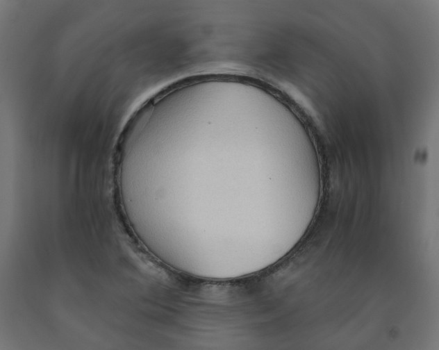 X0000091881364200710031733