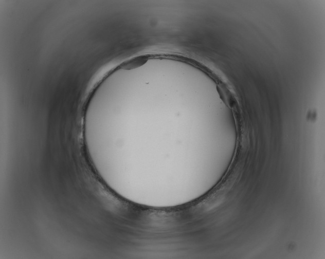 X0000091881366200710031733