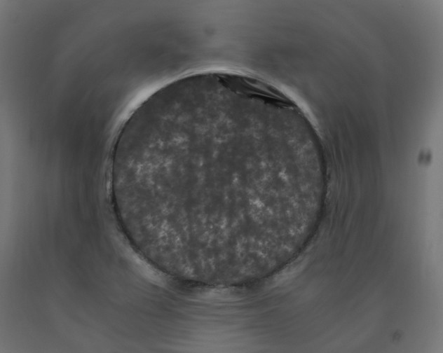 X0000091881367200710031733