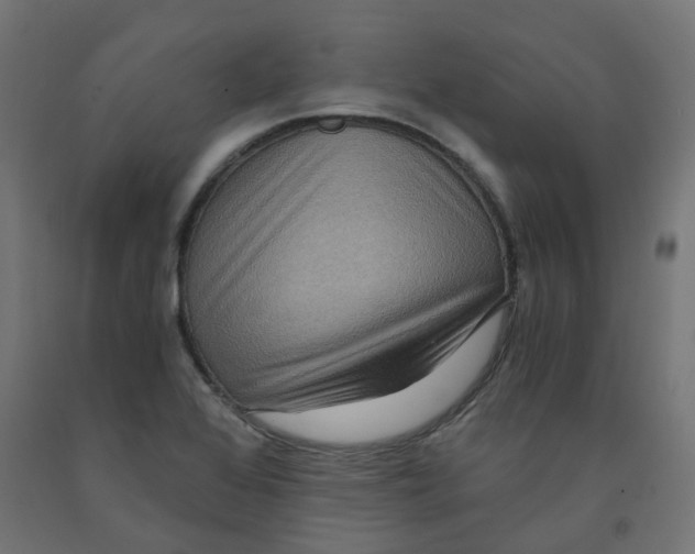 X0000091881368200710031733