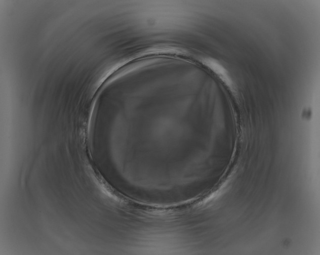 X0000091881369200710031733