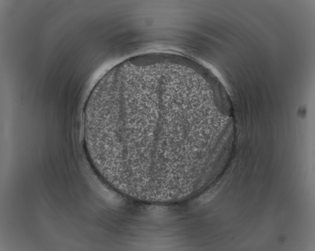 X0000091881371200710031733