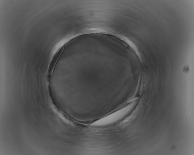 X0000091881373200710031733