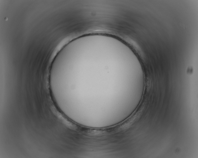 X0000091881374200710031733