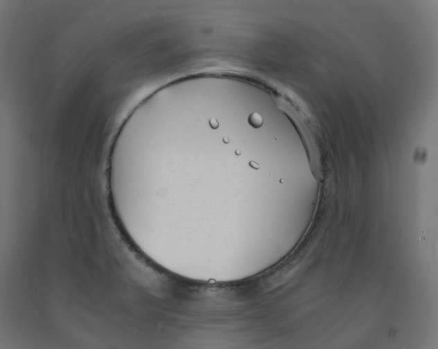 X0000091881375200710031733