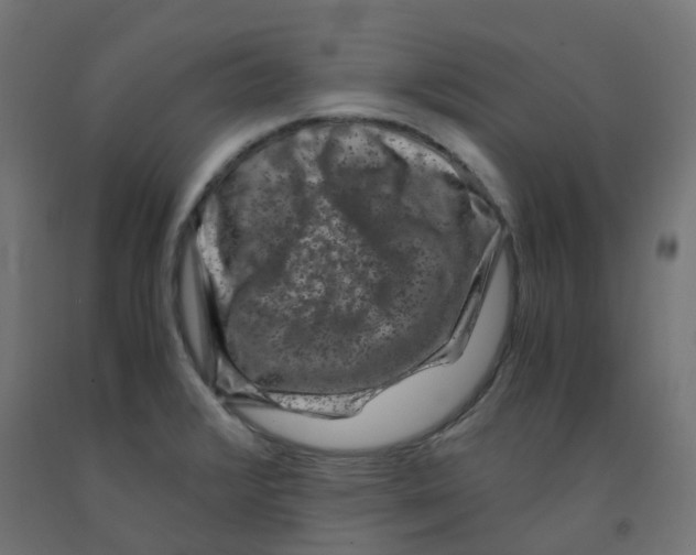 X0000091881376200710031733