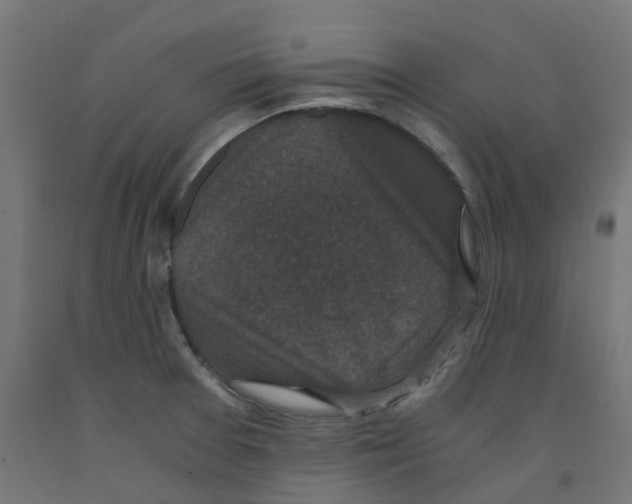 X0000091881377200710031733