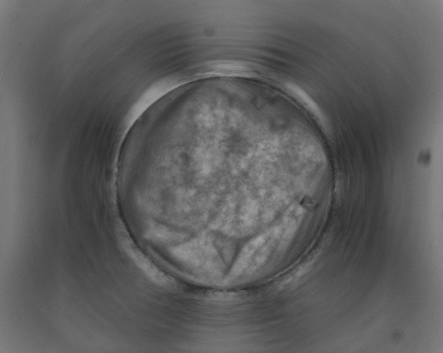 X0000091881378200710031733
