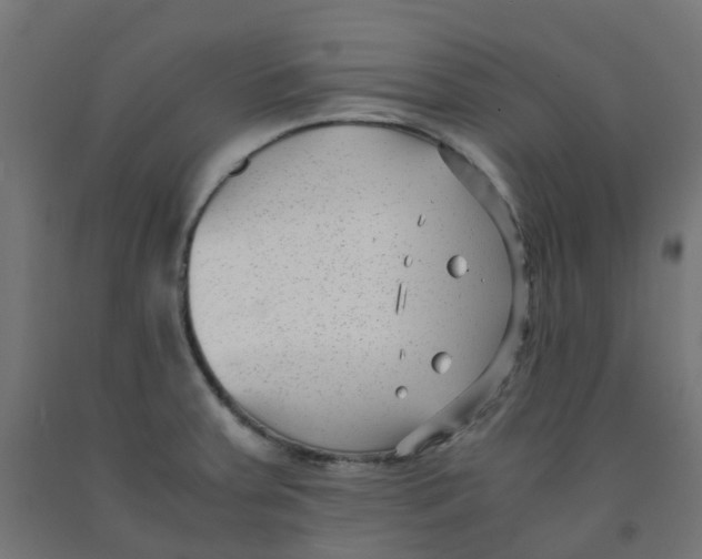 X0000091881379200710031733