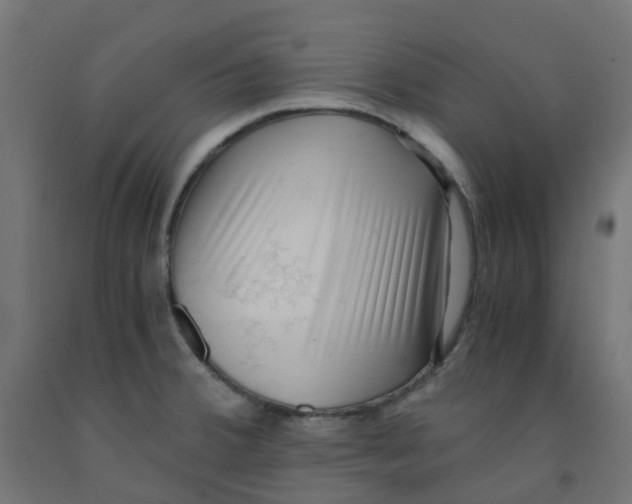 X0000091881380200710031733