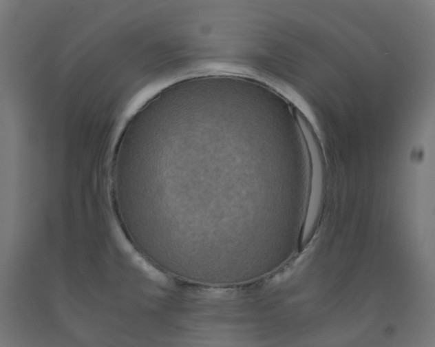 X0000091881381200710031733