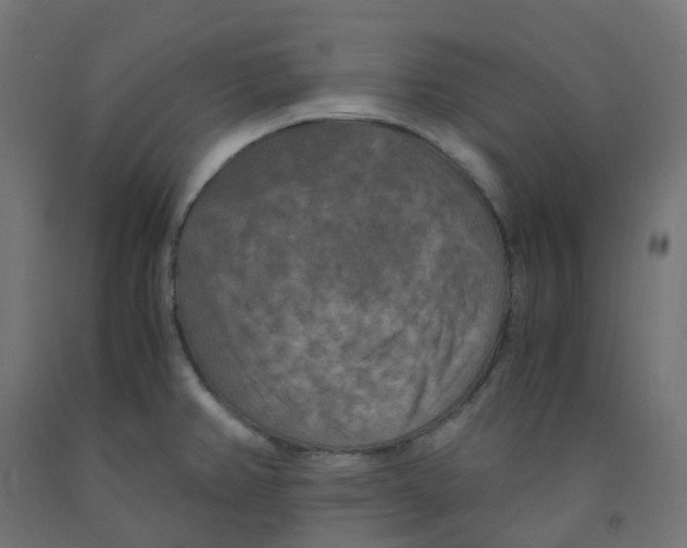 X0000091881382200710031733