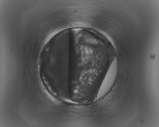 X0000091881383200710031733