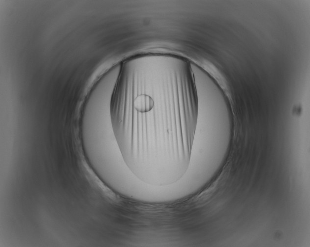 X0000091881384200710031733