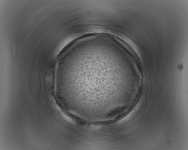 X0000091881385200710031733