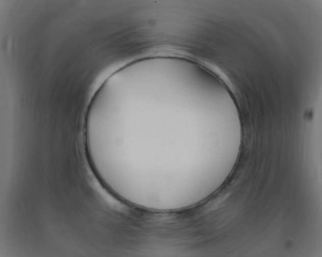 X0000091881387200710031733