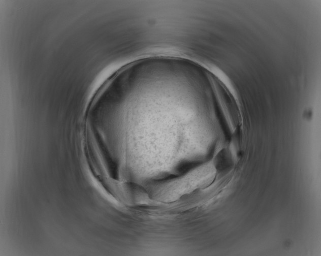 X0000091881389200710031733