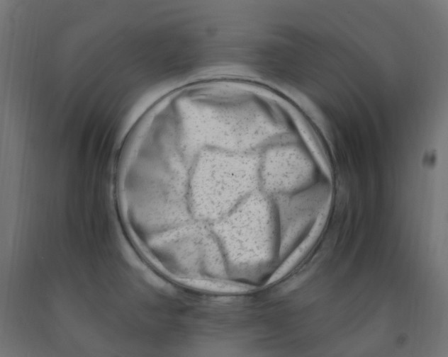 X0000091881390200710031733