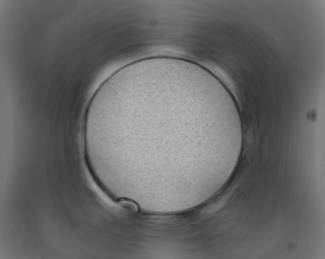 X0000091881391200710031733