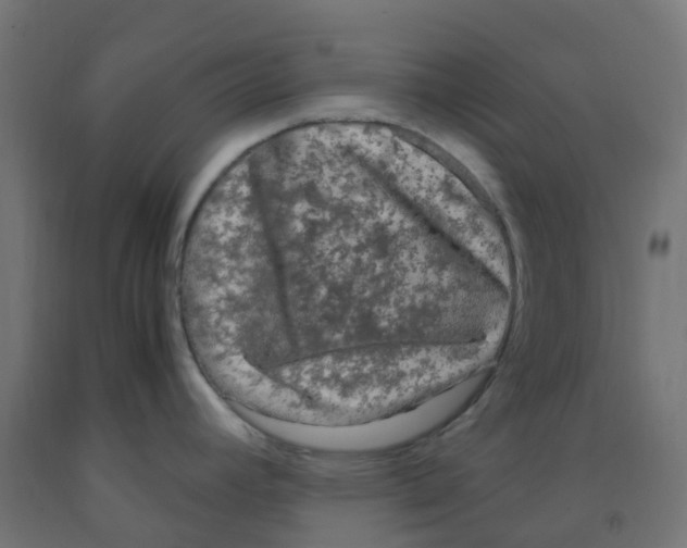 X0000091881392200710031733