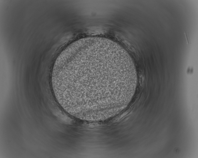 X0000091881393200710031732