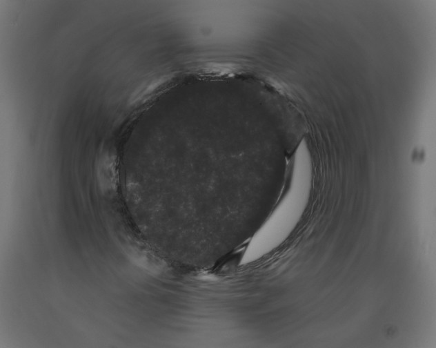 X0000091881394200710031732