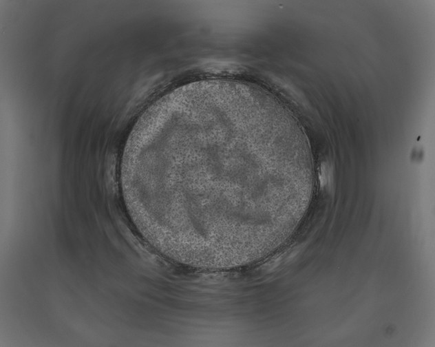 X0000091881396200710031732