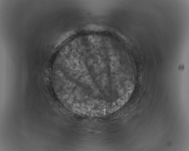 X0000091881397200710031732