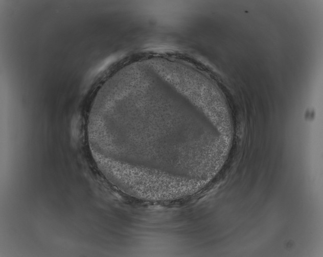 X0000091881398200710031732