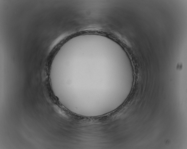 X0000091881400200710031732