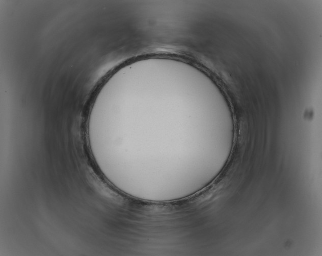 X0000091881404200710031732