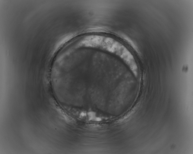 X0000091881405200710031732