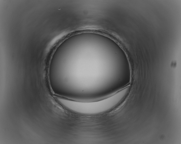 X0000091881406200710031732