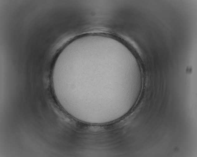 X0000091881407200710031732