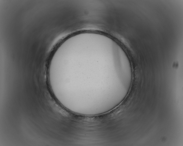 X0000091881408200710031732