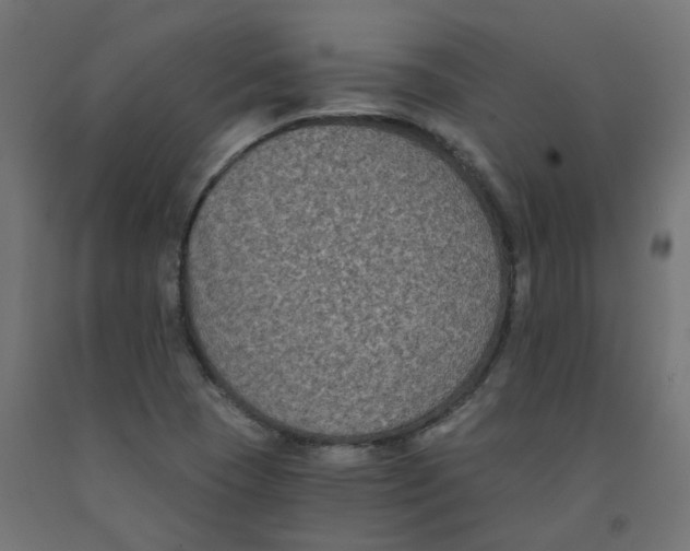 X0000091881409200710031732