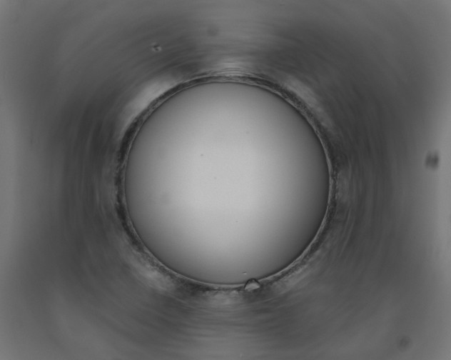 X0000091881410200710031732