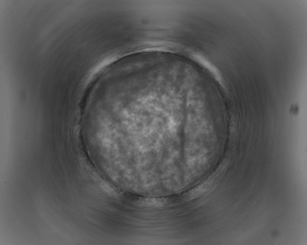 X0000091881411200710031732