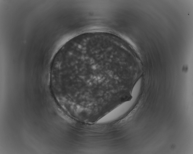 X0000091881413200710031732