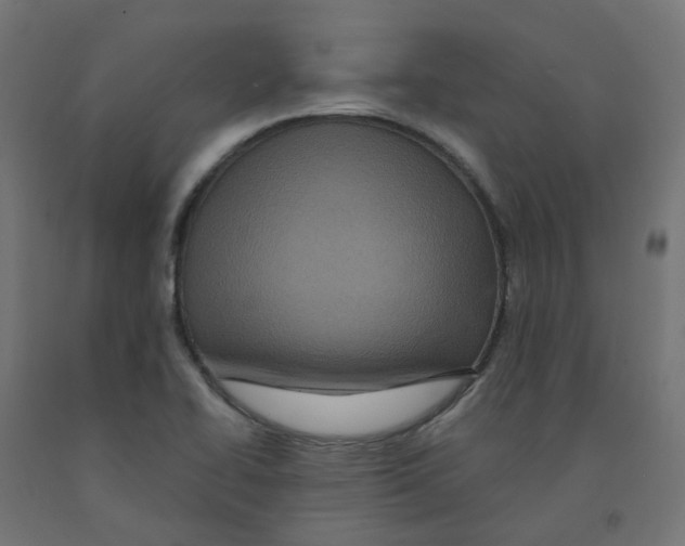 X0000091881414200710031732