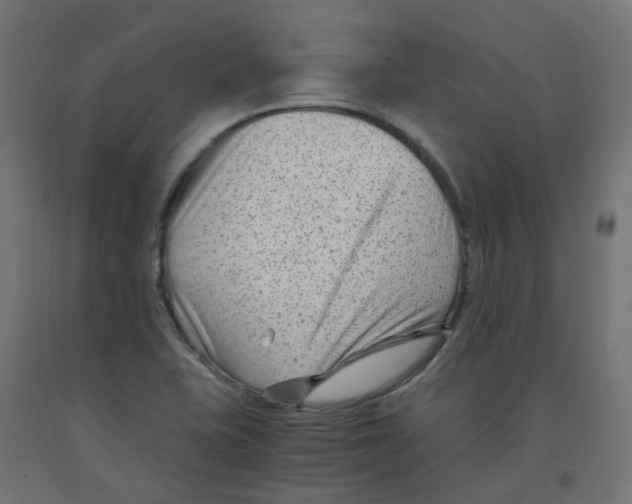 X0000091881415200710031732