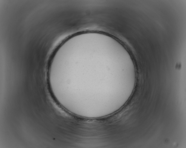 X0000091881416200710031732