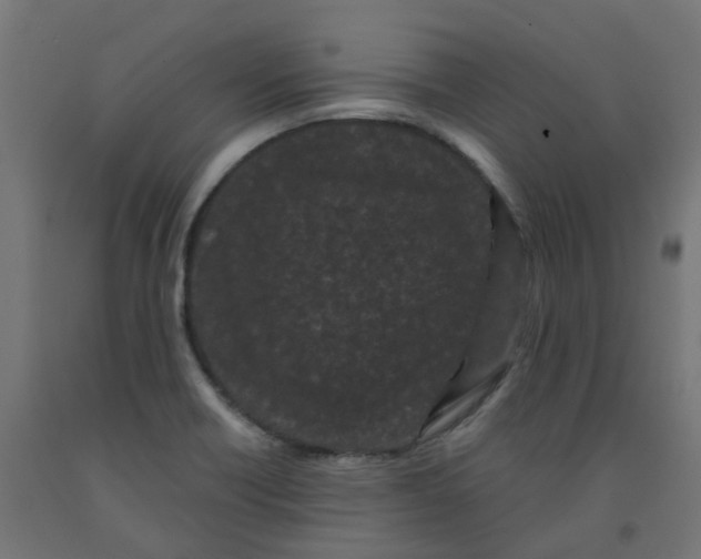 X0000091881418200710031732